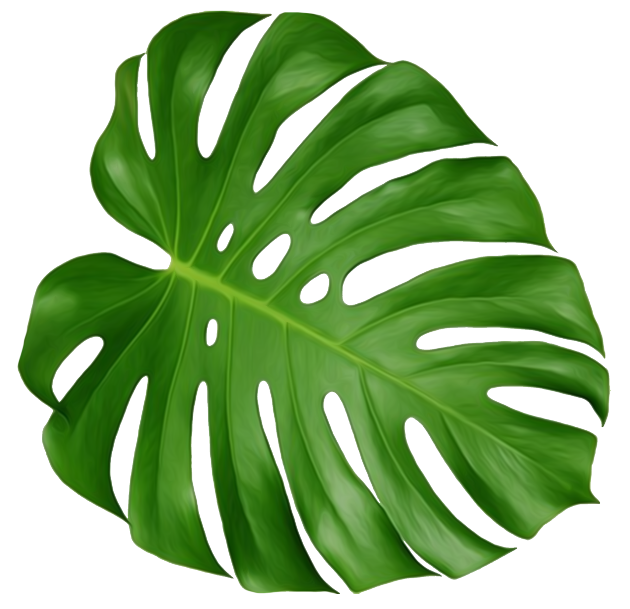 feuille